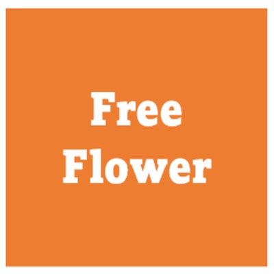 シングル/Free Flower/OKAWARI Music