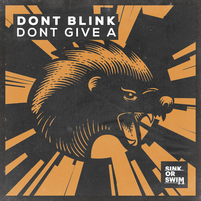 アルバム/DONT GIVE A/DONT BLINK
