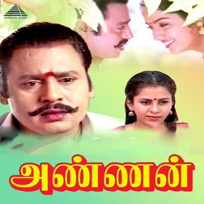 シングル/Vayasu Pulla Vayasu Pulla/Ilaiyaraaja and Sujatha Mohan