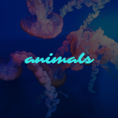 Animals/Princii Rolly