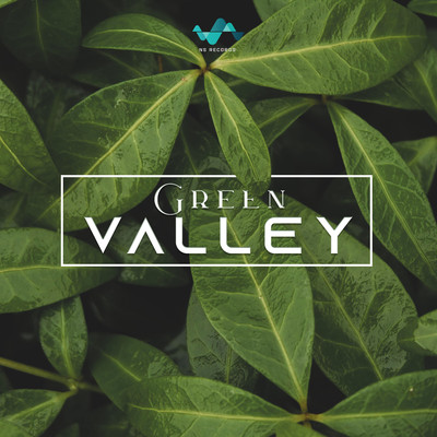 Green Valley/NS Records