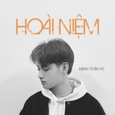 Hoai Niem (Beat)/Dang Tuan Vu