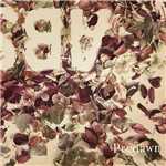 アルバム/Absence/Predawn