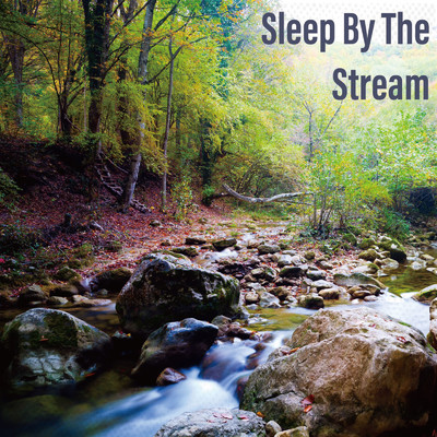 Sleep By The Stream/Water Sounds