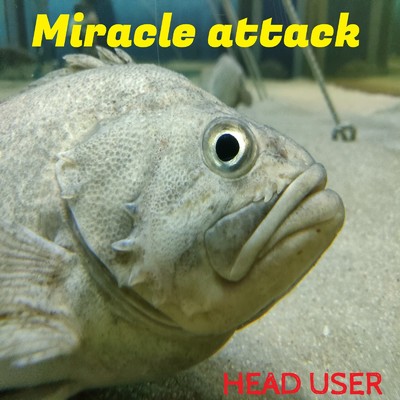 Miracle attack/HEAD USER