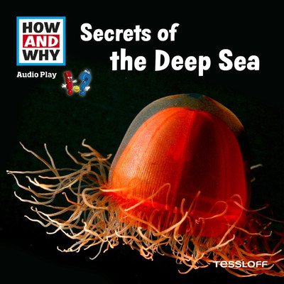 アルバム/Secrets Of The Deep Sea/HOW AND WHY