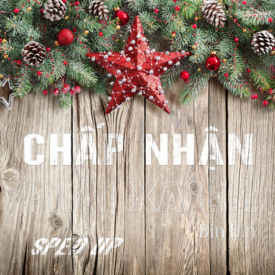 Chap Nhan Phai Xa Em (BP Bounce Remix) [Sped Up]/Bin Bin