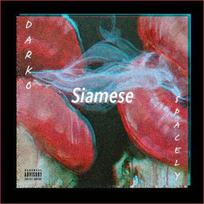 シングル/Siamese (feat. $pacely)/DarkoVibes