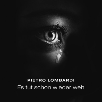 シングル/Es tut schon wieder weh/Pietro Lombardi