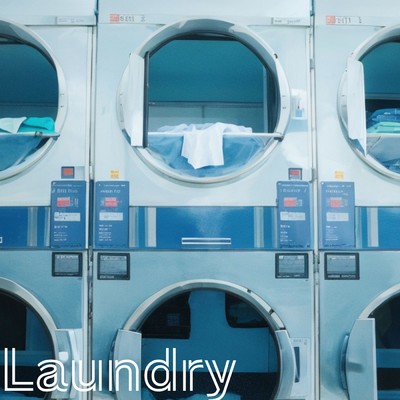 シングル/Laundry (feat. 初音ミク)/シロクマ消しゴム