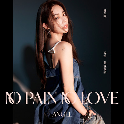 シングル/No pain no love/Angel