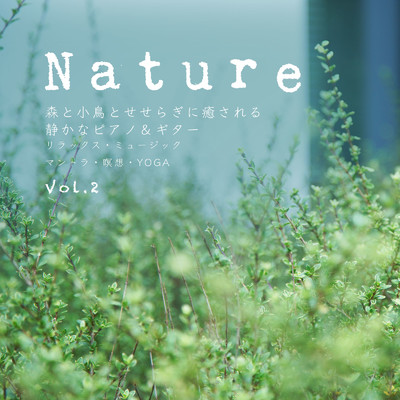 アルバム/Nature 森と小鳥とせせらぎに癒される 静かなピアノ&ギター リラックス・ミュージック マントラ・瞑想・YOGA Vol.2/VISHUDAN