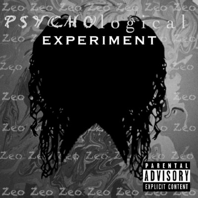 Psychological Experiment/Artist Zeo