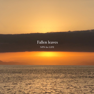シングル/Fallen leaves/NPN for LIFE