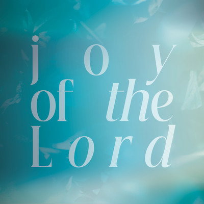 Joy Of The Lord (Live)/29:11 Worship／Avery Chisenski