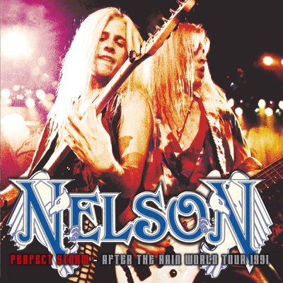Perfect Storm (After The Rain World Tour 1991)/Nelson