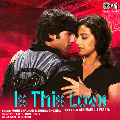 Is This Love (Lofi Mix)/Pritam