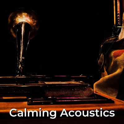 Calming Acoustics/Soulful Symphony