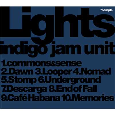 Lights/indigo jam unit