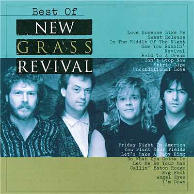 Let Me Be Your Man/The New Grass Revival