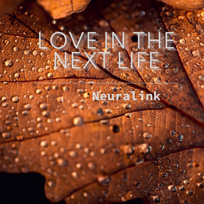 アルバム/Love In The Next Life/Neuralink