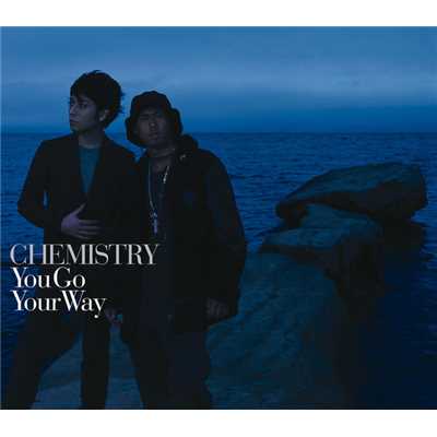 シングル/You Go Your Way (LESS VOCAL)/CHEMISTRY
