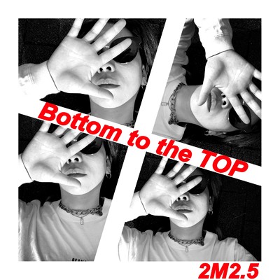 アルバム/Bottom to the Top/2M2.5