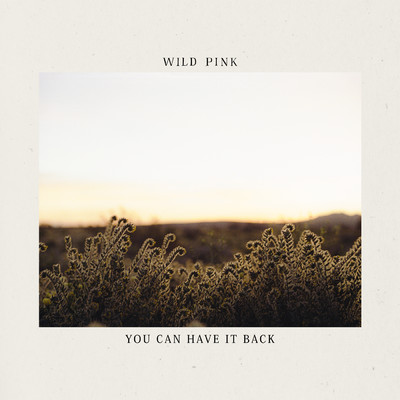 You Can Have It Back/Wild Pink
