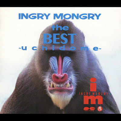 アルバム/the BEST 〜uchidome〜/INGRY MONGRY