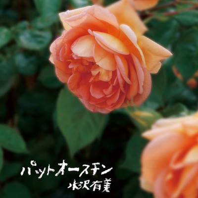 シングル/sakura(ギターインストVer.)/水沢有美