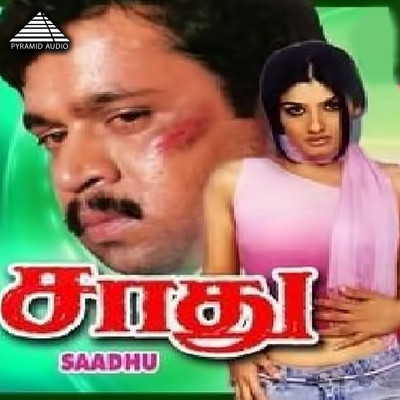 Sadhu (Original Motion Picture Soundtrack)/Ilaiyaraaja