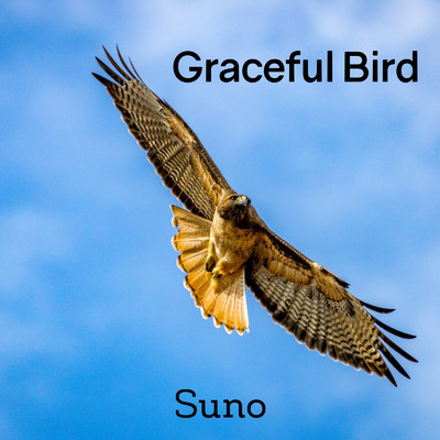 シングル/Graceful Bird/Suno