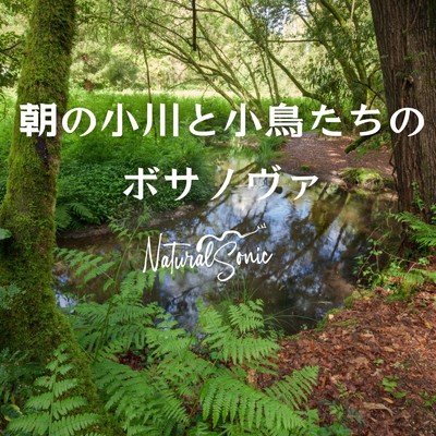 Quiet Flow, Happy Song/Natural Sonic