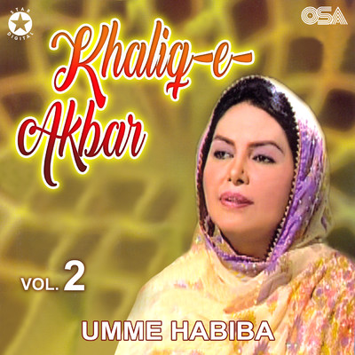シングル/Ek Hawaye Sar Khushi Mein/Umme Habiba