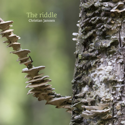The riddle/Christian Janssen
