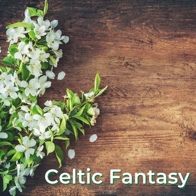 アルバム/Celtic Fantasy/Soulful Symphony