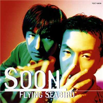 Flying Seabird/クリス・トムリン