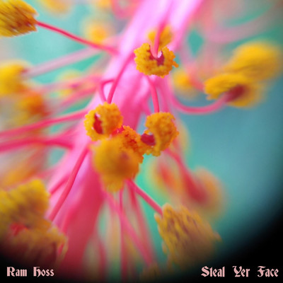 アルバム/Steal Yer Face/Ram Hoss