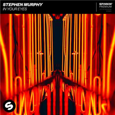 In Your Eyes/Stephen Murphy