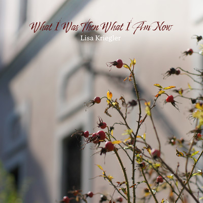What I Was Then What I Am Now/Lisa Kriegler
