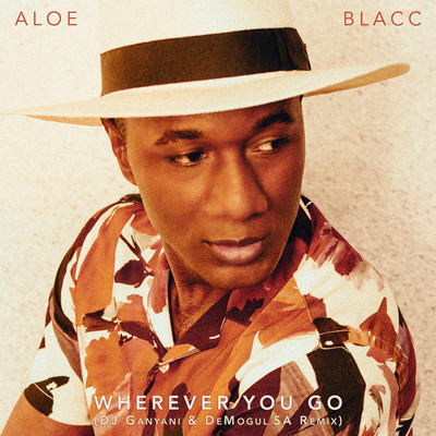 Wherever You Go (DJ Ganyani & De Mogul SA Remix)/Aloe Blacc