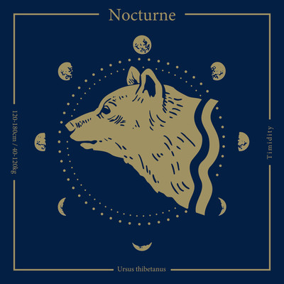 Nocturne/Fantasia