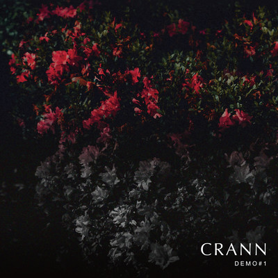 アルバム/CRANN DEMO#1/CRANN