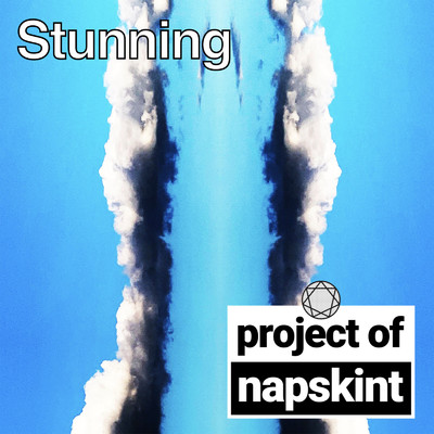 Stunning/project of napskint