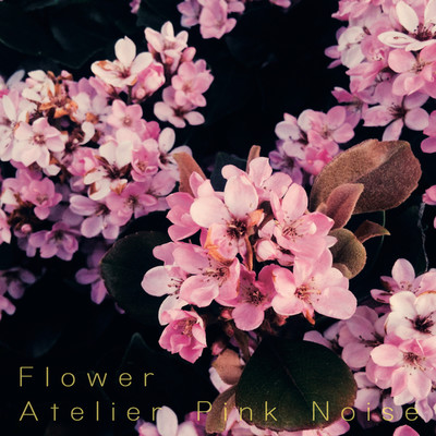 Flower/Atelier Pink Noise