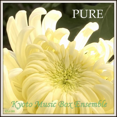 シングル/PURE - music box/Kyoto Music Box Ensemble