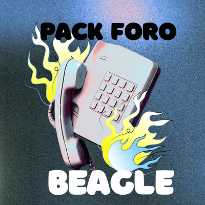 Beagle/Pack Foro