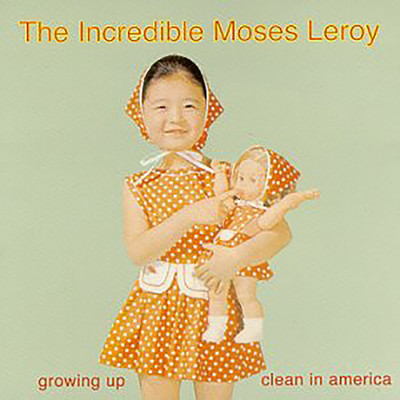 Growing Up Clean in America/Various Artists