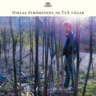 Tva Vagar/Niklas Stromstedt
