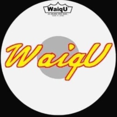 黄昏象の行進〜Nightfall Elephant Walk/WaiqU